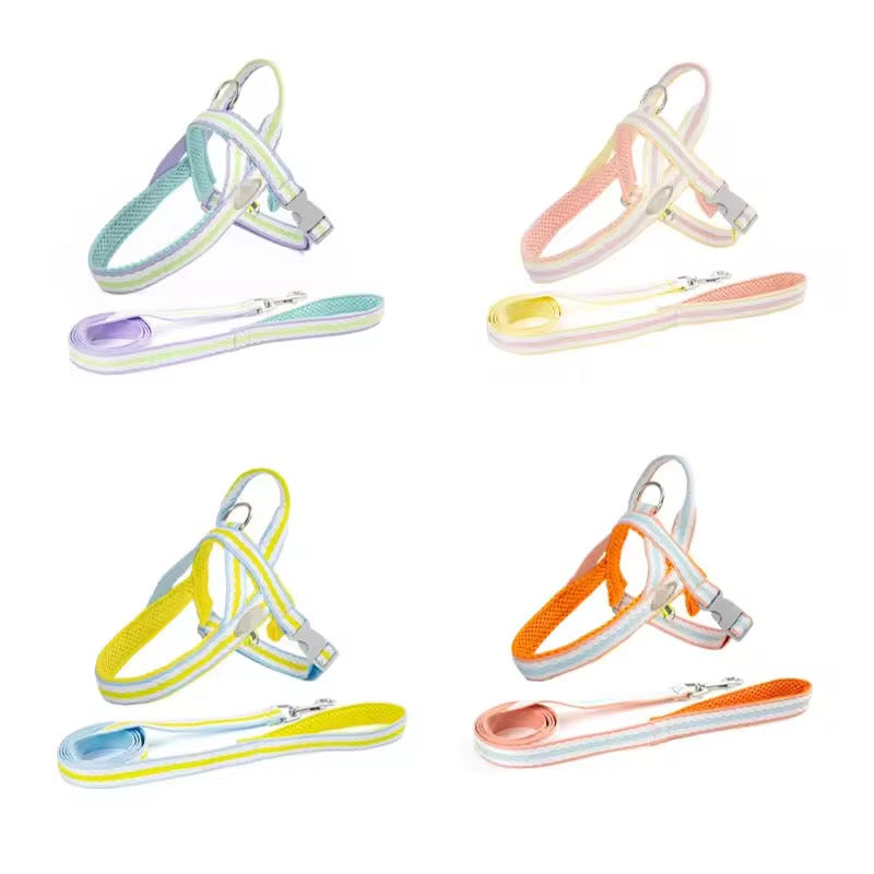Dog Harness