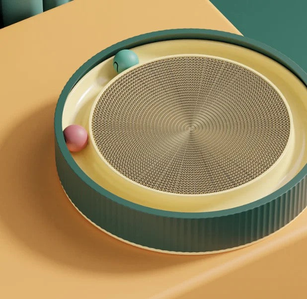 კატა საჩხაპნი