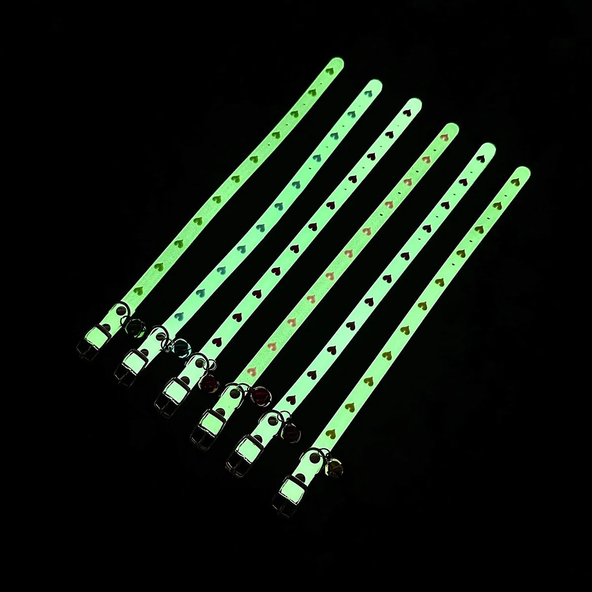 კატის ნეონის საყელო