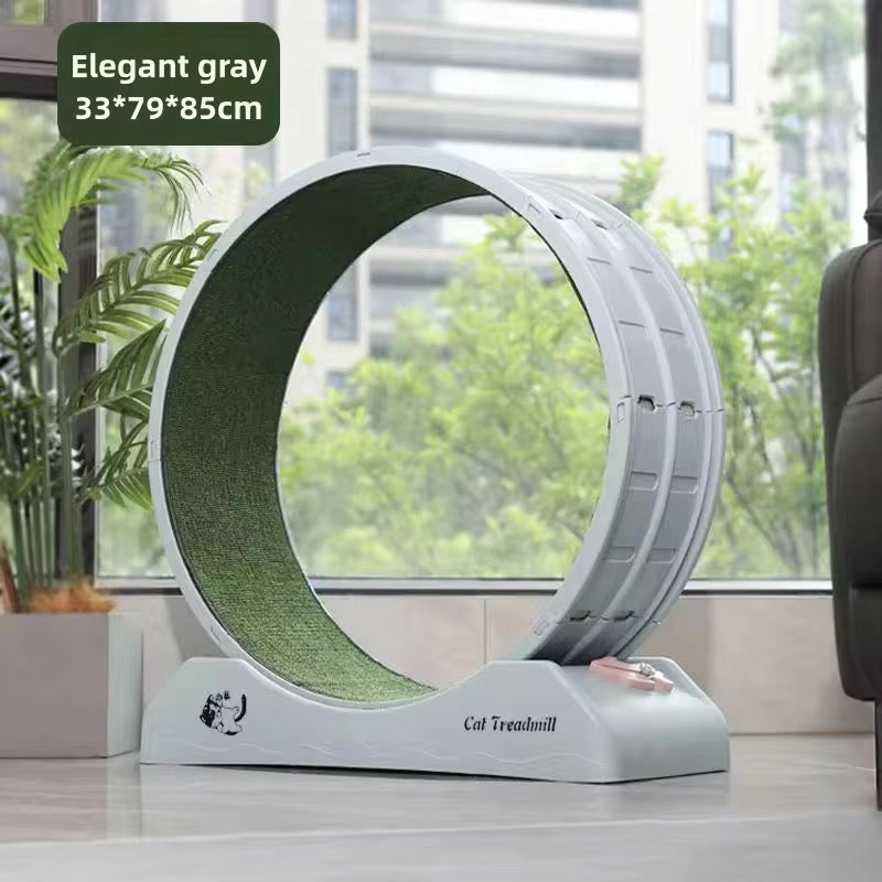 კატის სარბენი ბილიკი