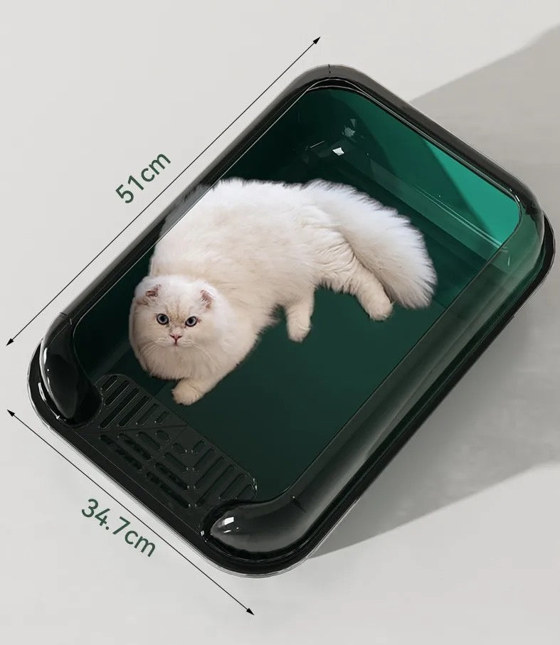 კატის ღია ტუალეტი