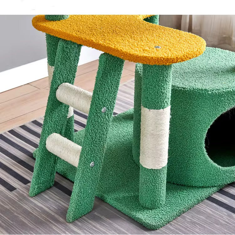 კატის ხე კაქტუსი