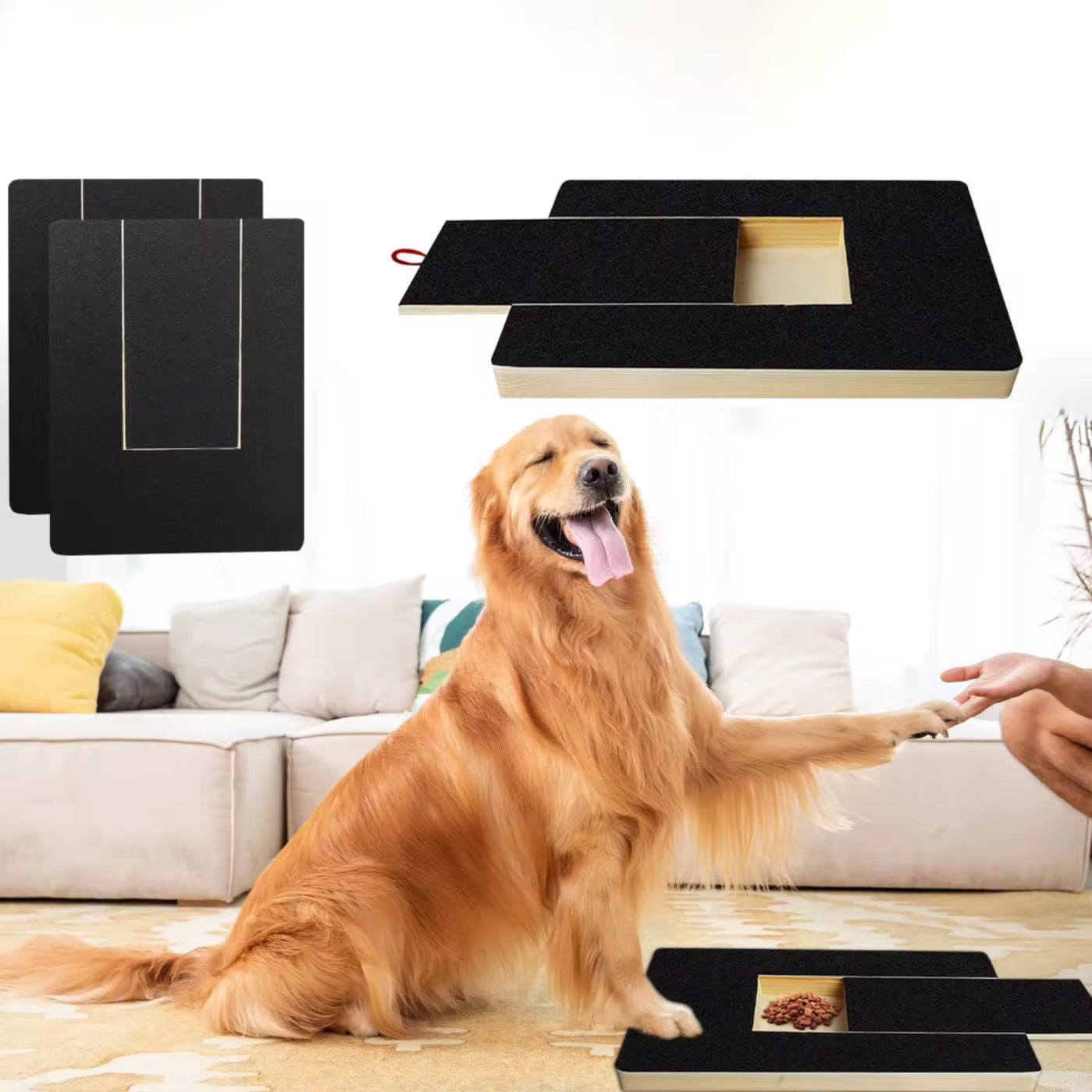 Dog Scratch Pad with Treat Box