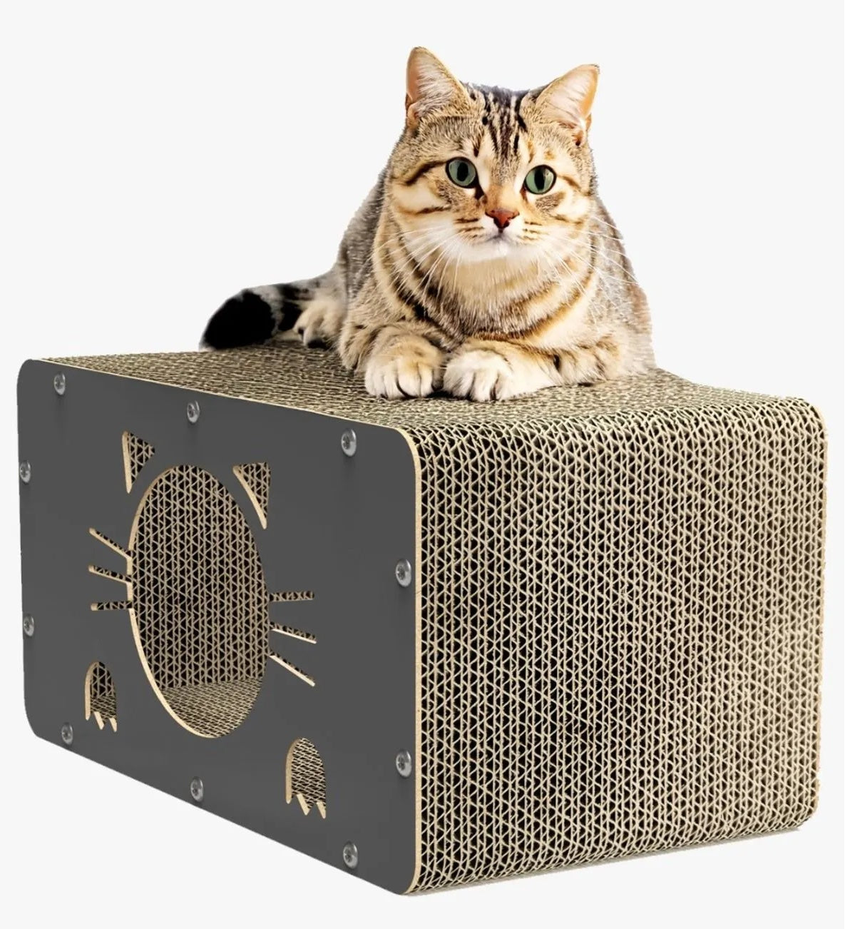 Cat scratcher house