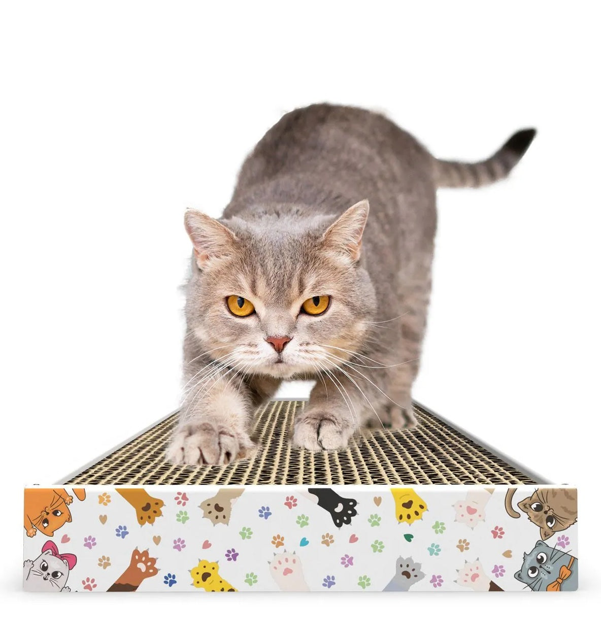 Cat scratching board