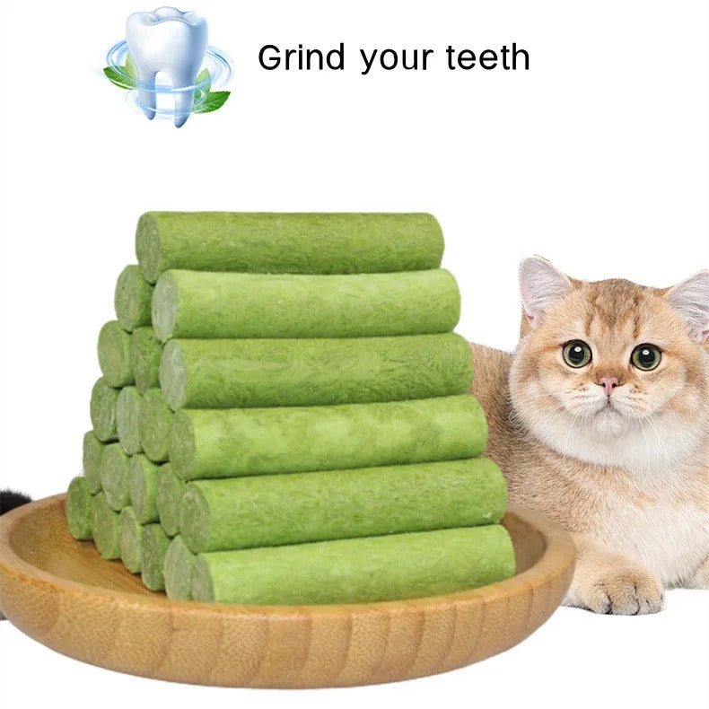 Freeze-dried cat grass sticks