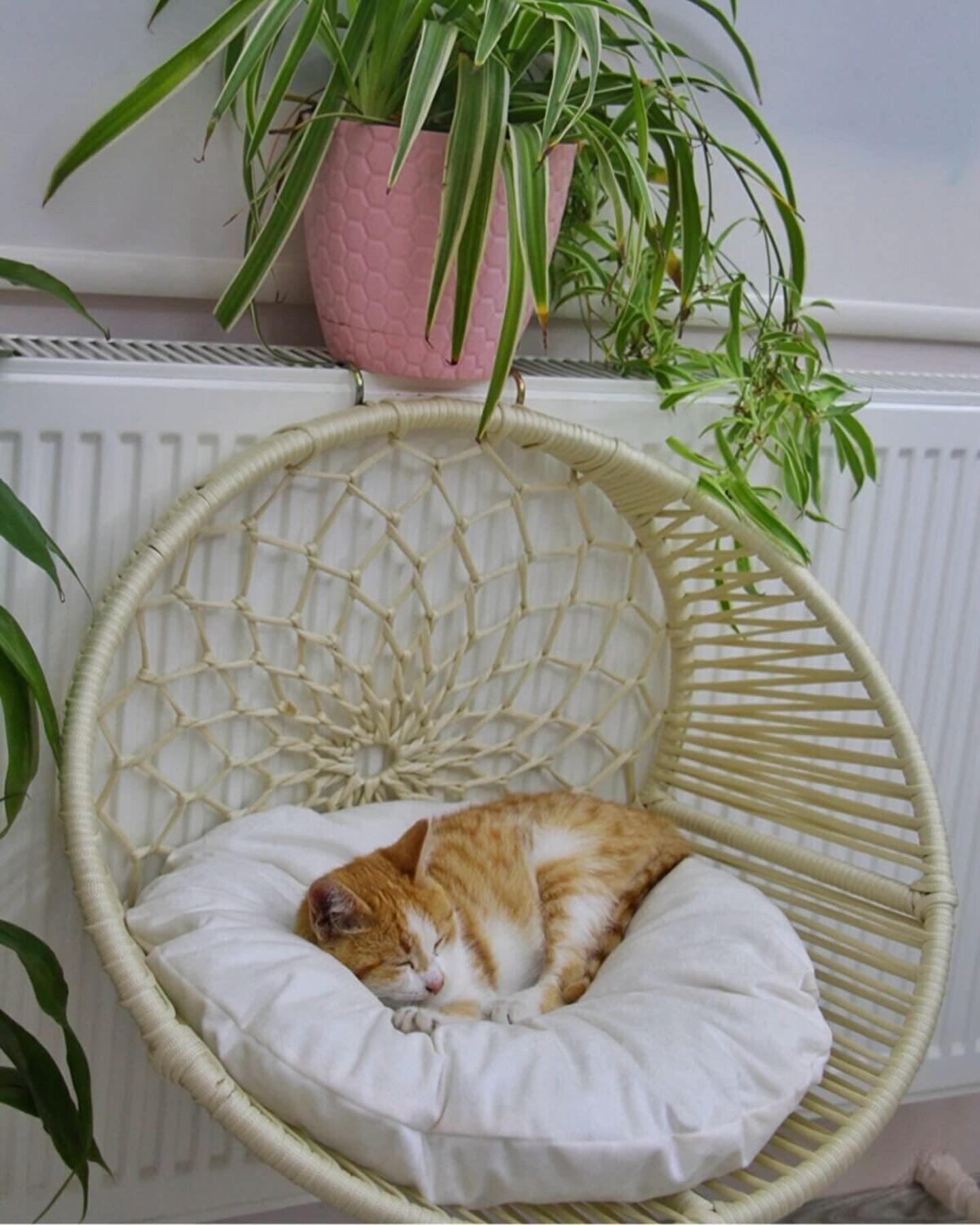 Radiator Hammock Round