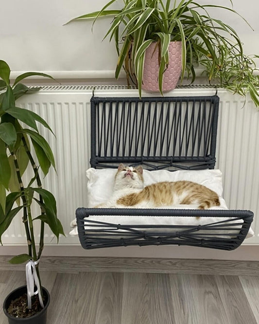 Radiator Hammock