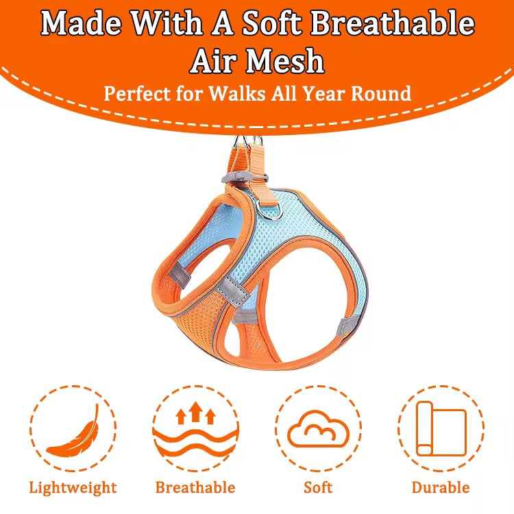 Pet Harness