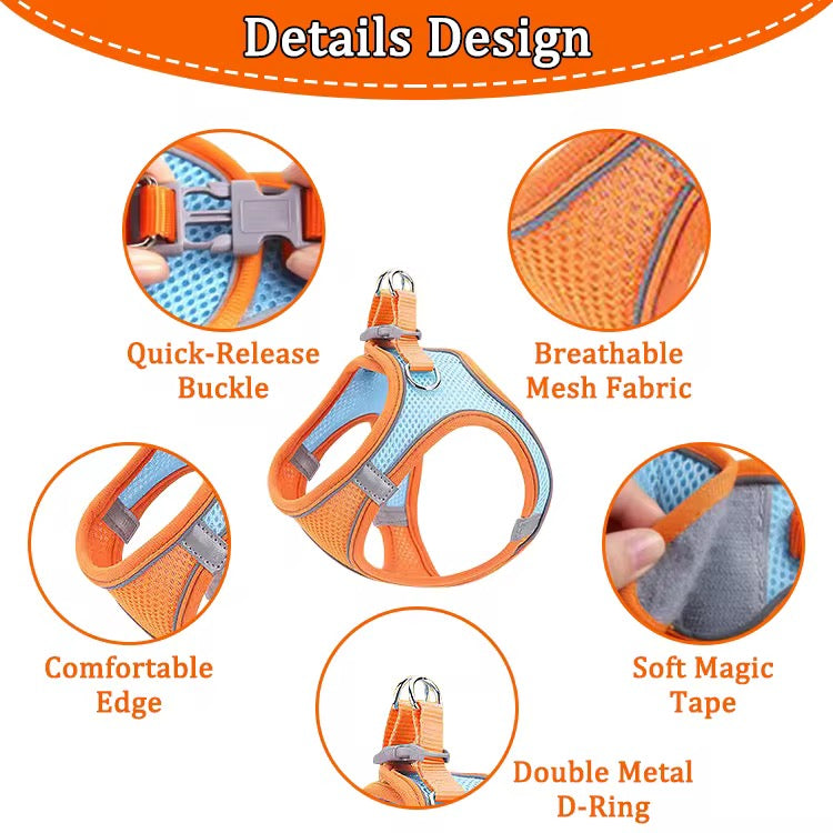 Pet Harness