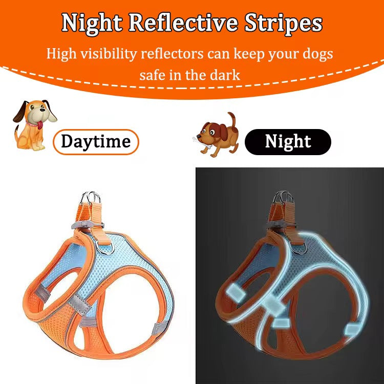 Pet Harness