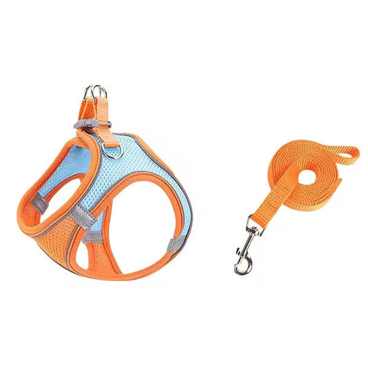 Pet Harness