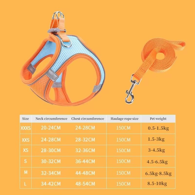Pet Harness