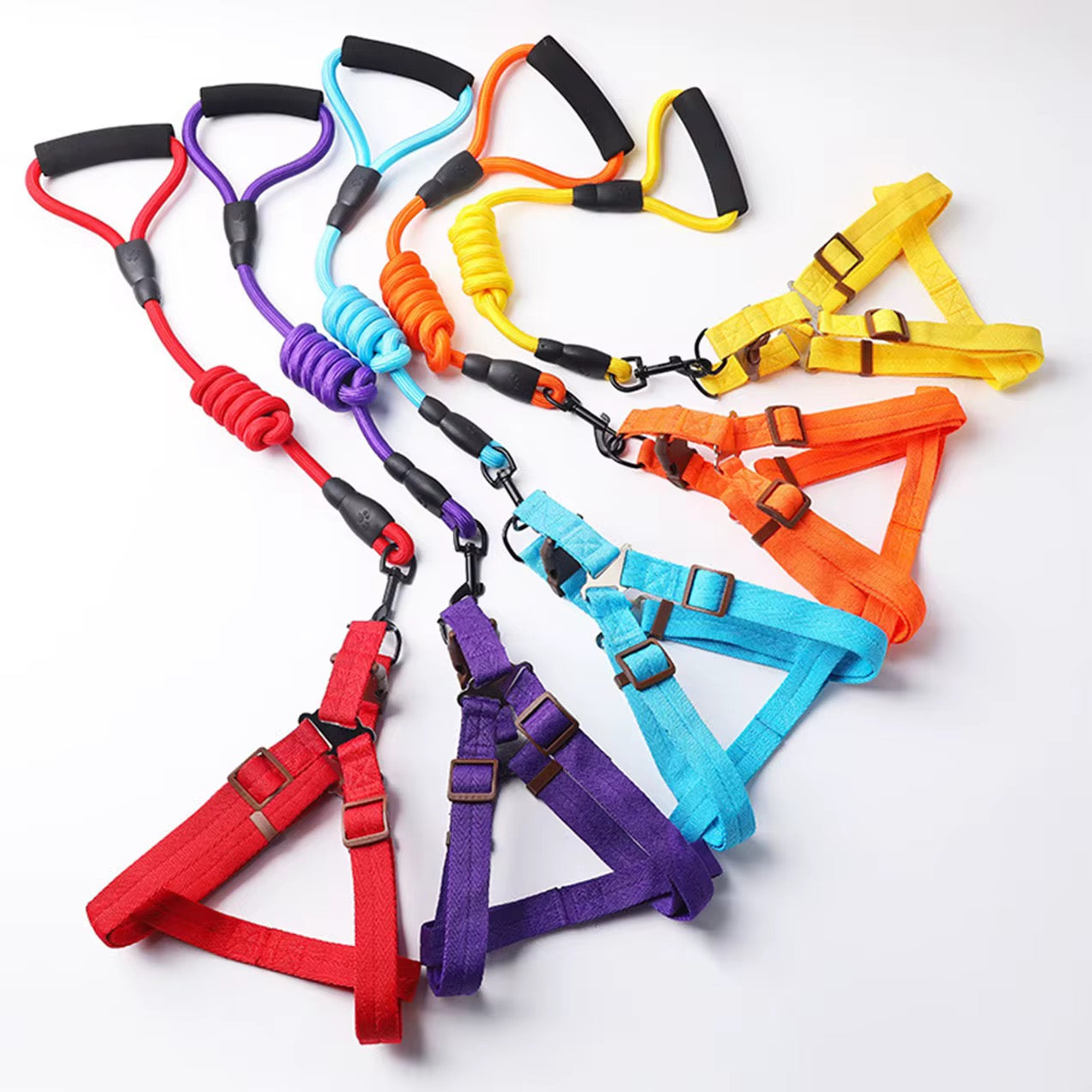 Pet colorful harness