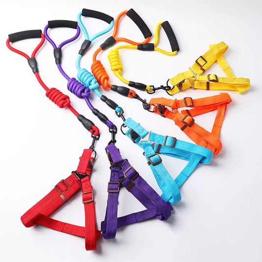 Pet colorful harness