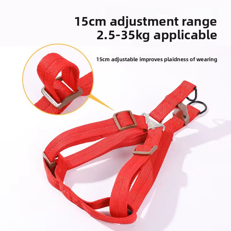 Pet colorful harness