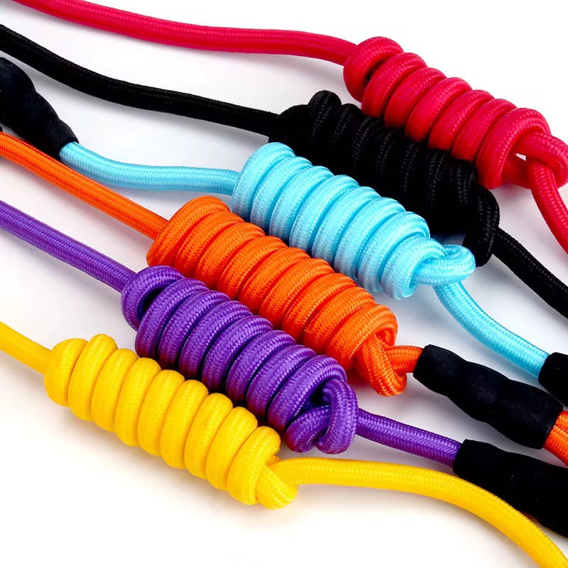 Pet colorful harness
