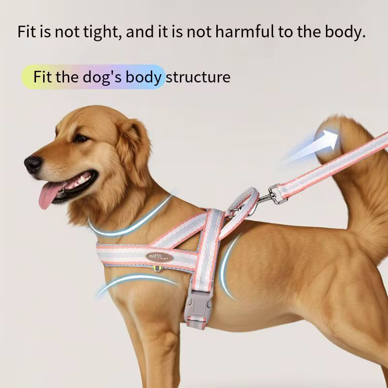 Dog Harness