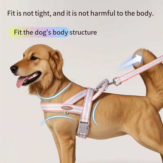 Dog Harness