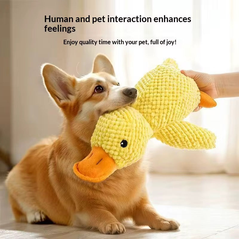 Dog soft toy Duck