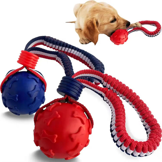 Dog toy Ball on the rope