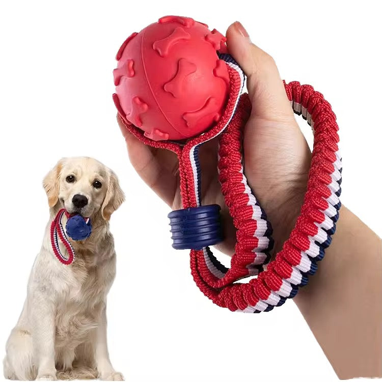 Dog toy Ball on the rope