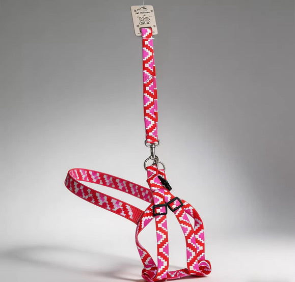Pet harness colorful