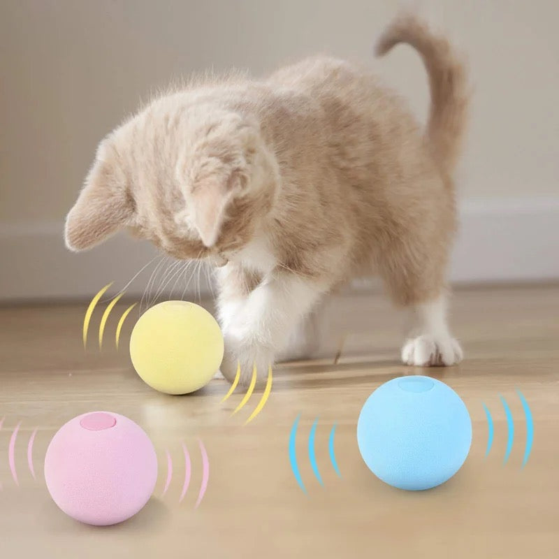 Cat Chirping Ball (with sounds)