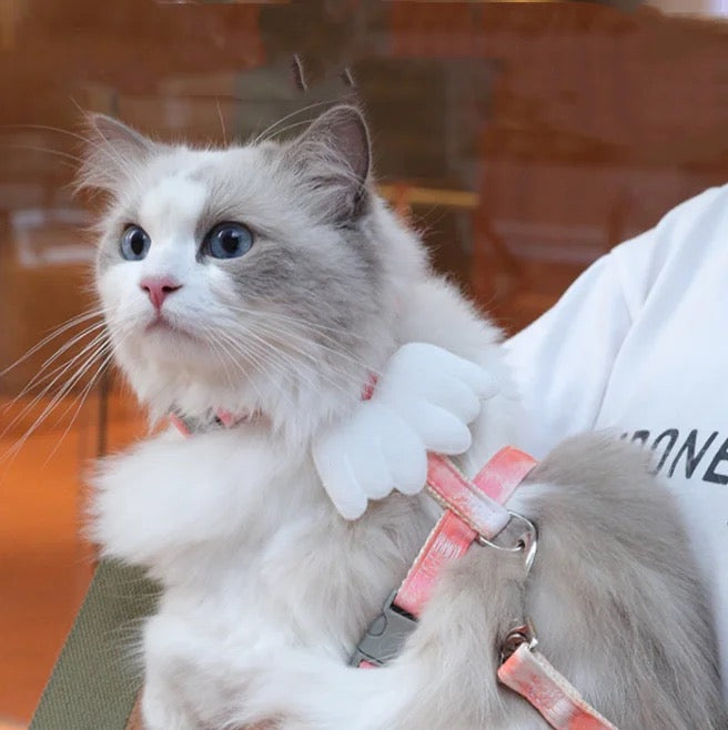 Cat Harness Wings