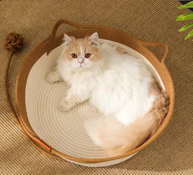 Cat scratcher bed with a toy