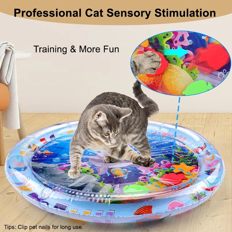 Cat Water Mat Toy (Pool)