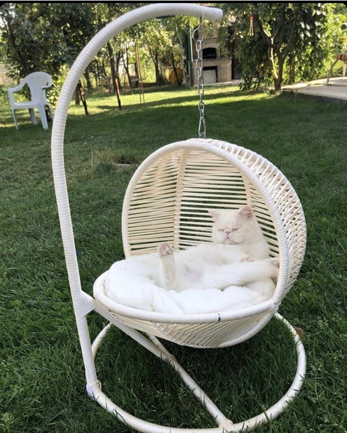 Swing Bed