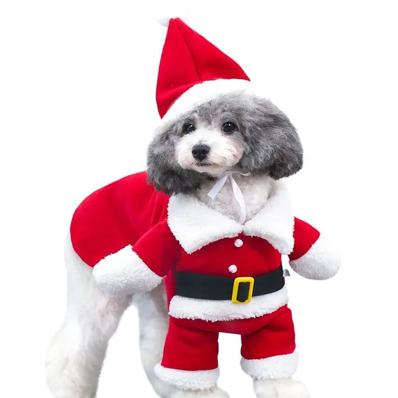 Christmas Costume (Santa Claus)