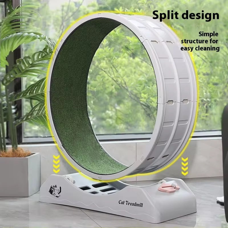 კატის სარბენი ბილიკი