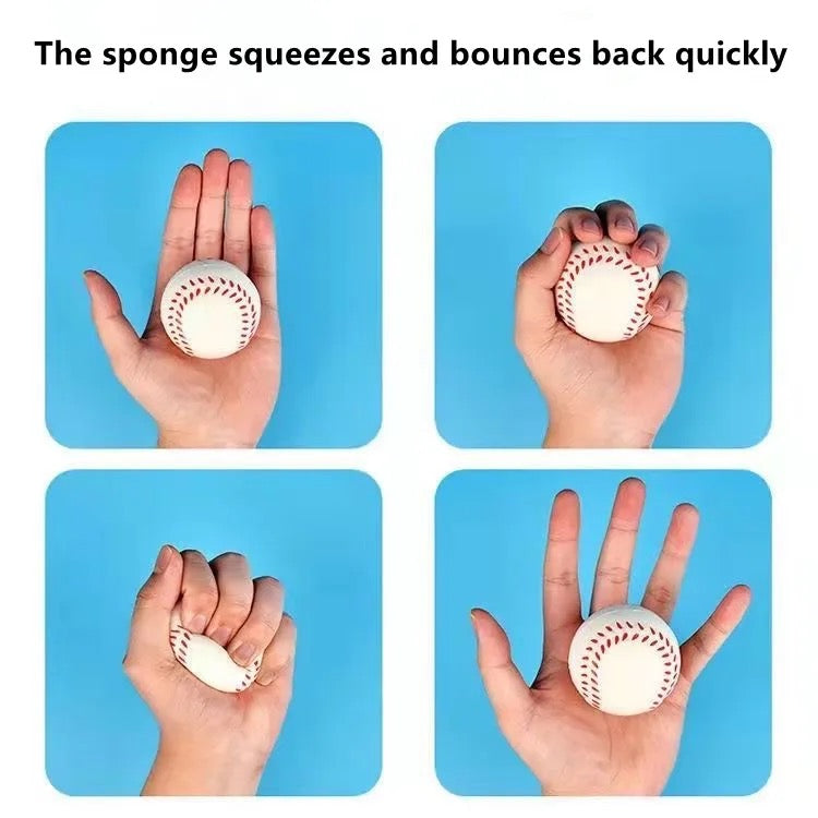 Pet Sponge Ball