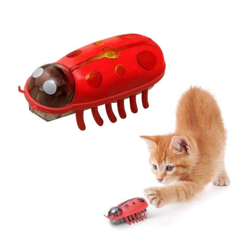 Cat Toy Automatic Bug