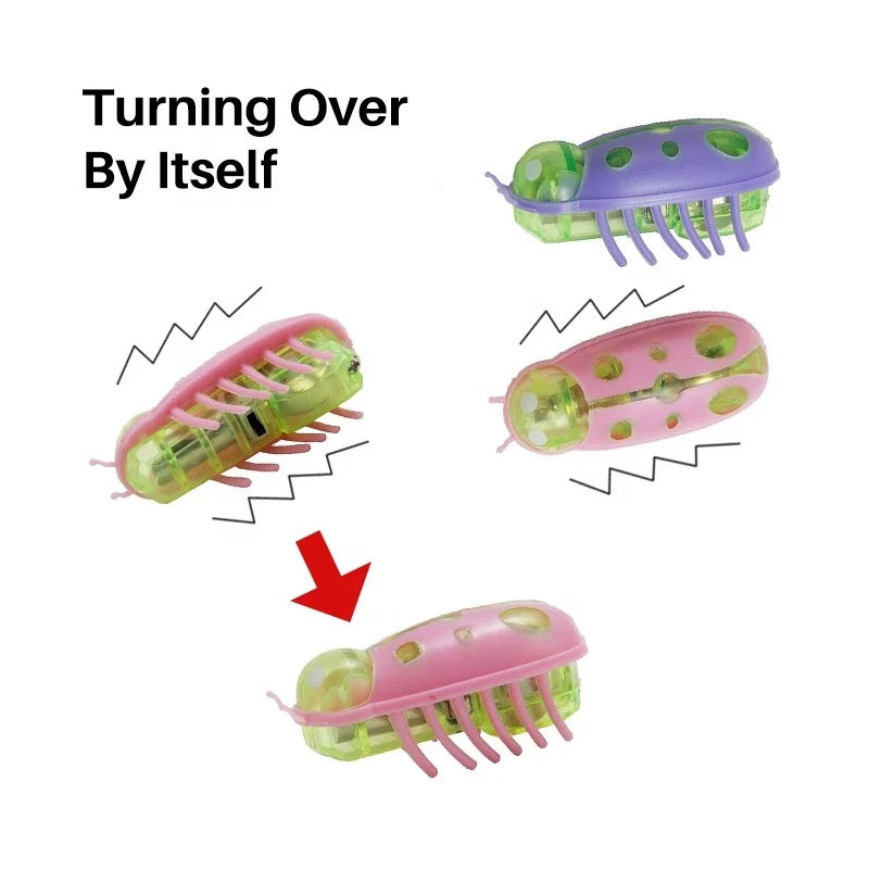 Cat Toy Automatic Bug
