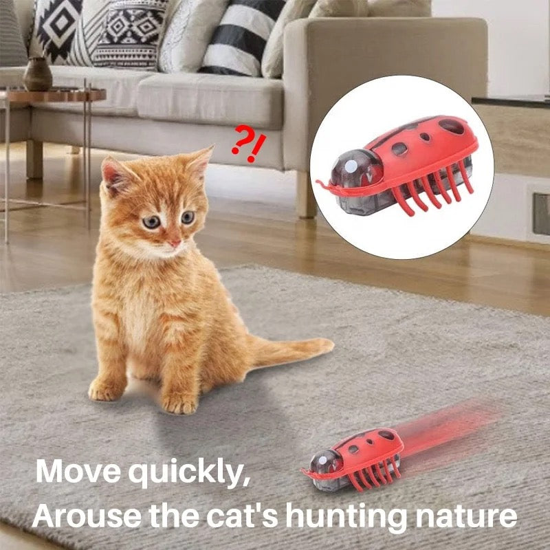 Cat Toy Automatic Bug