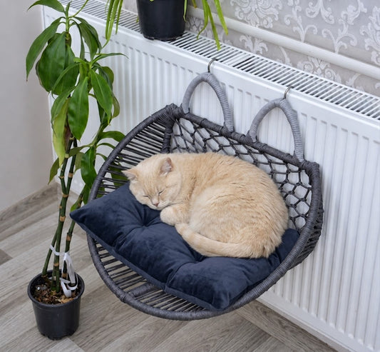 Cat Heating Radiator Hammock