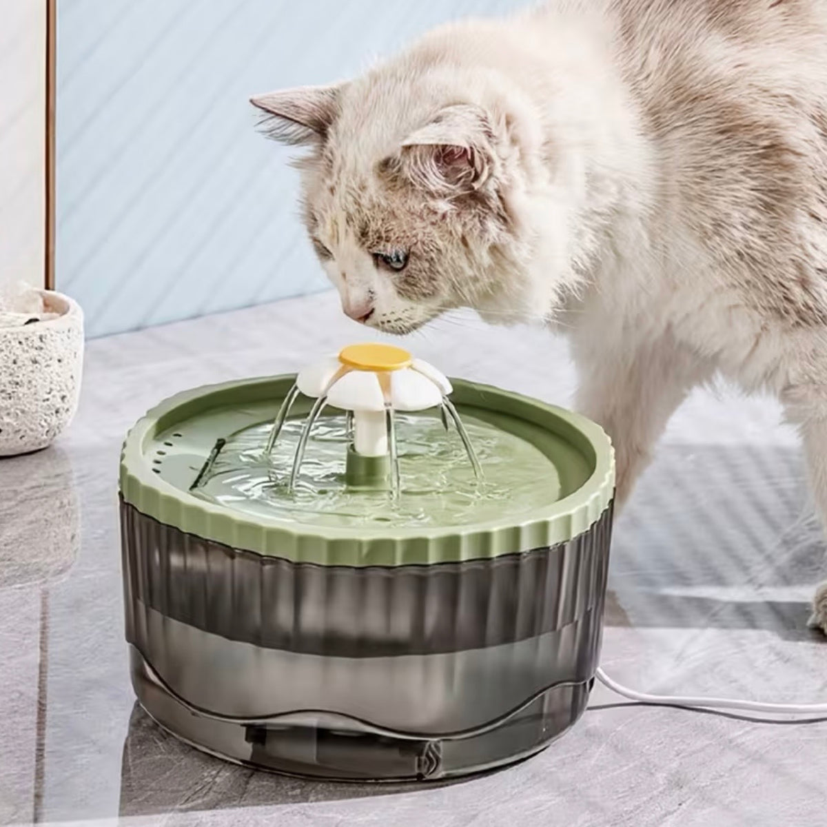`Pet Water Dispenser (Fountain) Flower style