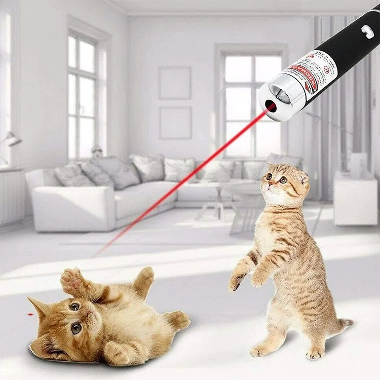 Cat Laser