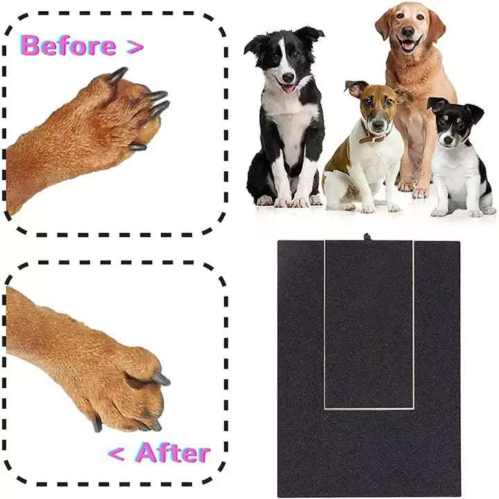 Scratch Pad Foraging Dog Scratch Pad with Treat Box – LE PET'IT