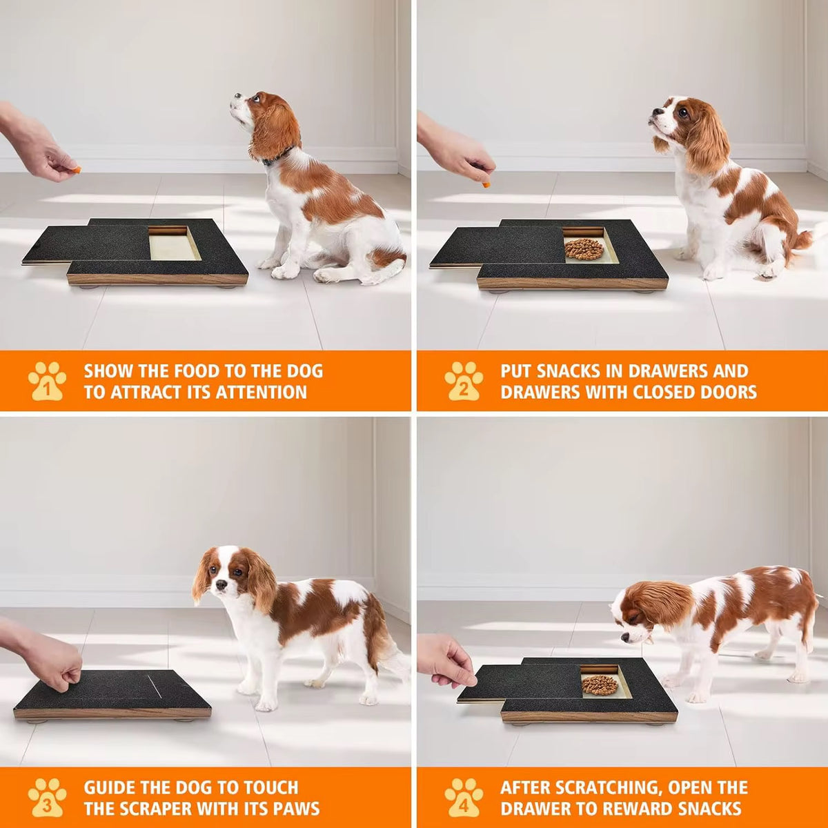 Scratch Pad Foraging Dog Scratch Pad with Treat Box – LE PET'IT