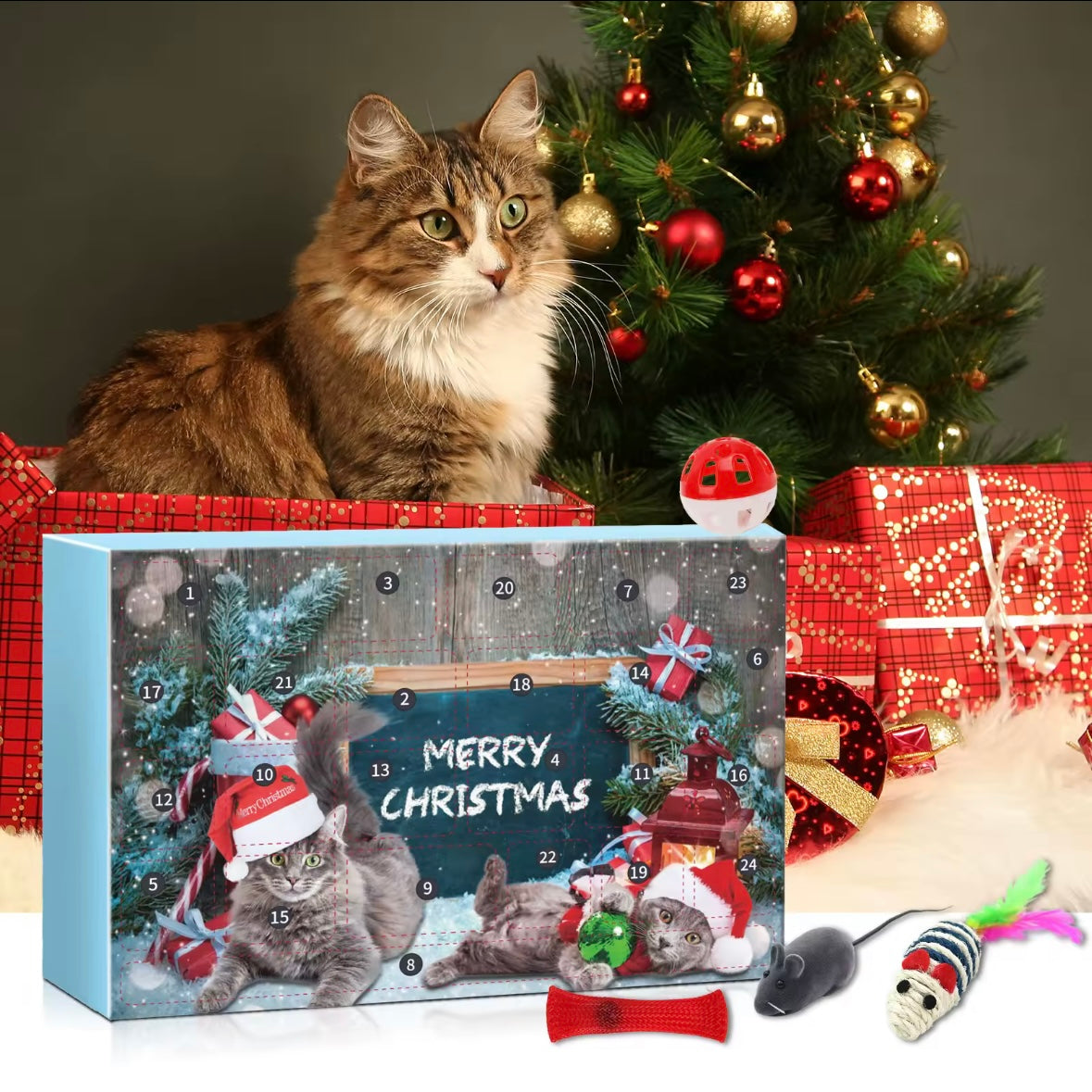 Cat Christmas Advent Calendar