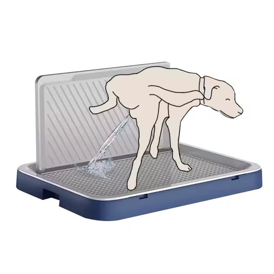 Dog Toilet with Wall