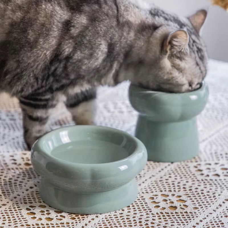 Pet ceramic bowl (Wide style)