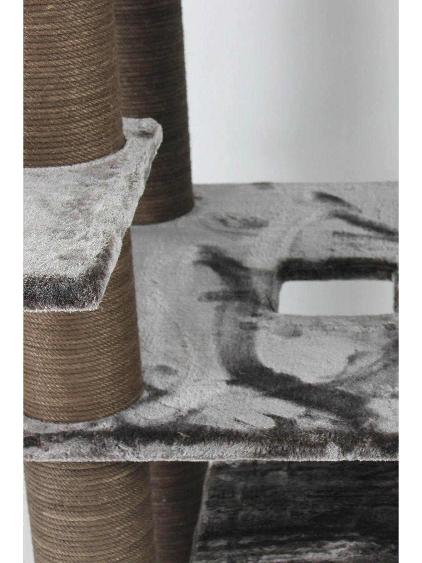 ყველაზე დიდი კატის ხე (2 მ)