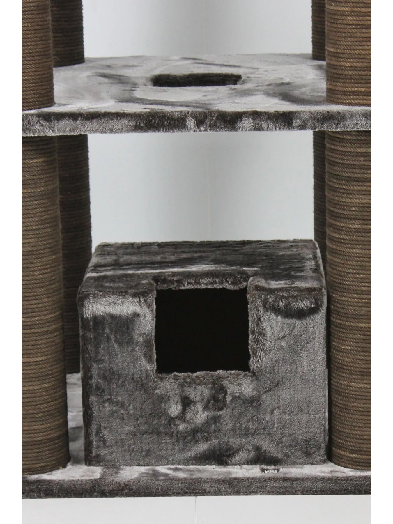 ყველაზე დიდი კატის ხე (2 მ)